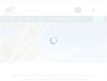 Tablet Screenshot of bluecoconut.co.nz